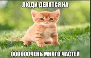 🌟 emoji Ало бизнес? Да да, стикеры Telegram sticker 5 of 27