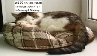 🌟 emoji Ало бизнес? Да да, стикеры Telegram sticker 18 of 27