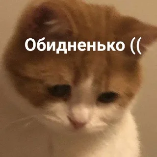 🐈 emoji Мяяу🐈💓 (by @tayaays) Telegram sticker 14 of 18