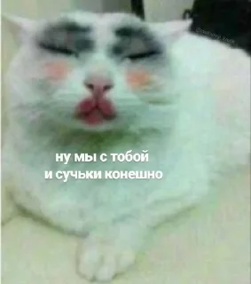 😚 emoji Жопные приключения Telegram sticker 11 of 67