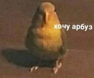 🌚 emoji Жопные приключения Telegram sticker 17 of 67