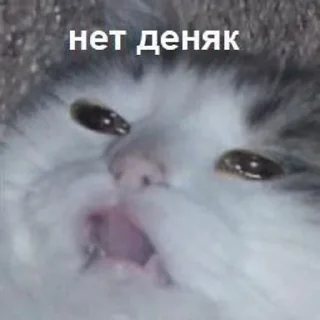 🥺 emoji Жопные приключения Telegram sticker 10 of 67