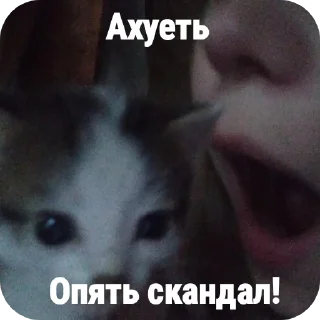 Sticker from Доза