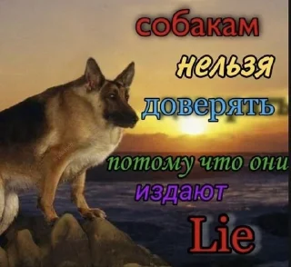🗿 emoji Жопные приключения Telegram sticker 6 of 67