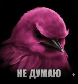 🌟 emoji Вряд ли Telegram sticker 12 of 56