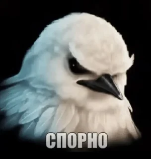 🌟 emoji Вряд ли Telegram sticker 8 of 56
