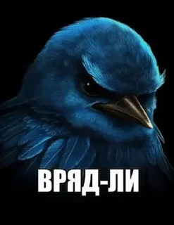 Sticker from Вряд-ли @ckladstikerov7
