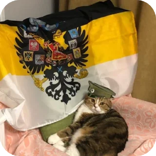🐱 emoji Белое Движение🇷🇺🤍 @TgEmodziBot Telegram sticker 19 of 85