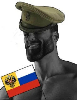🤩 emoji Белое Движение🇷🇺🤍 @TgEmodziBot Telegram sticker 8 of 85