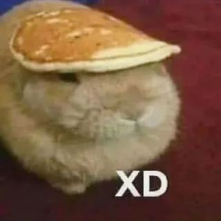 🐹 emoji Video Favorite stickers Telegram sticker 5 of 40