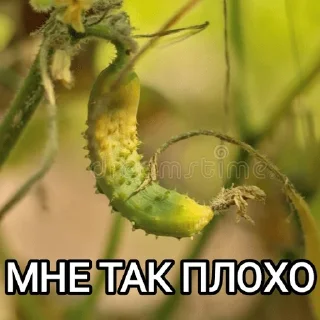 🥲 emoji ОДИНОЧЕСТВО Telegram sticker 8 of 52