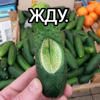 😙 emoji ОДИНОЧЕСТВО Telegram sticker 20 of 52