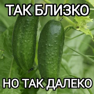 🫂 emoji ОДИНОЧЕСТВО Telegram sticker 22 of 52