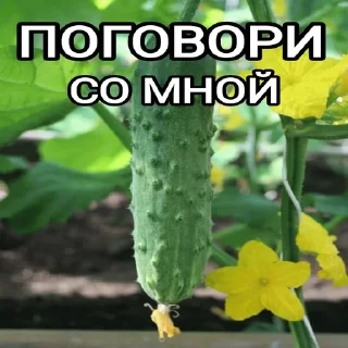 😫 emoji ОДИНОЧЕСТВО Telegram sticker 5 of 52