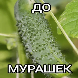 😦 emoji ОДИНОЧЕСТВО Telegram sticker 23 of 52