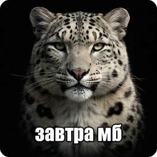 Sticker from БОЛЬШЕ ⇨ @CLOOBHUB МЕМЫ MEMES ТГ TG MARVEL МАРВЕЛ