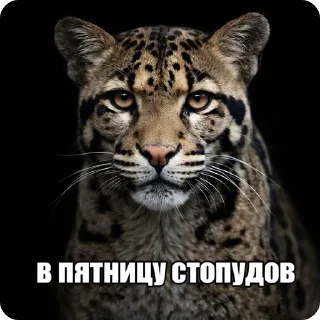 Sticker from БОЛЬШЕ ⇨ @CLOOBHUB МЕМЫ MEMES ТГ TG MARVEL МАРВЕЛ