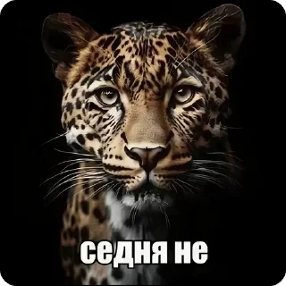 Sticker from БОЛЬШЕ ⇨ @CLOOBHUB МЕМЫ MEMES ТГ TG MARVEL МАРВЕЛ