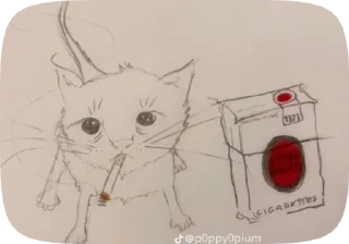 Sticker from Котики😺