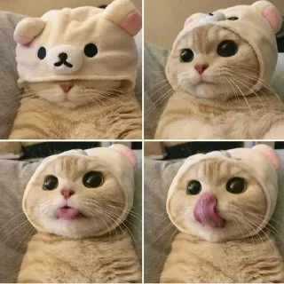 🤔 emoji @Perfettooooooooo @DTOUserBot Paketi 2 Telegram sticker 8 of 110