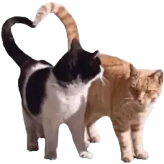 ❤️ emoji ♡(*´ω｀*)/♡ Telegram sticker 18 of 61