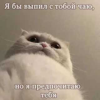 Sticker from делал ванюшка!!♡🫂