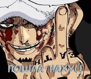 Sticker from one piece is real