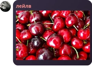 🇦🇸 emoji стикеры лучших Telegram sticker 11 of 97
