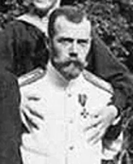 😐 emoji Николай 2 Telegram sticker 7 of 30
