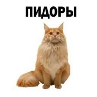 🌟 emoji Говно от @G1st0re Telegram sticker 17 of 22