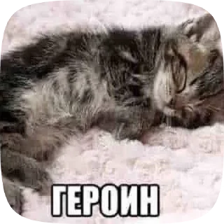 🌟 emoji Говно от @G1st0re Telegram sticker 15 of 22