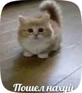🌟 emoji Говно от @G1st0re Telegram sticker 21 of 22