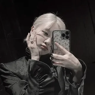 Sticker from BLACKPINK by @iceRays