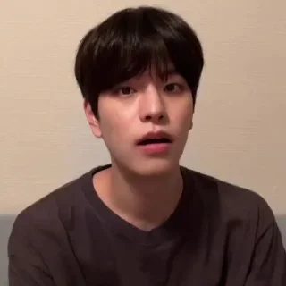 🧺 emoji |°•seungmin vlive•°| Telegram sticker 20 of 30