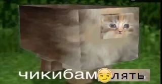 💥 emoji Чикибамбони Telegram sticker 5 of 38