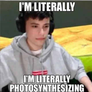 😑 emoji MCYT MEMES Telegram sticker 15 of 47