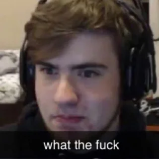 🤨 emoji MCYT MEMES Telegram sticker 9 of 47