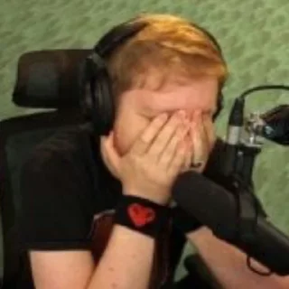 😫 emoji MCYT MEMES Telegram sticker 1 of 47
