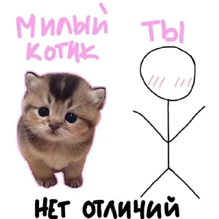 😽 emoji Любим тебя @stiker_vetik_pop Telegram sticker 6 of 33