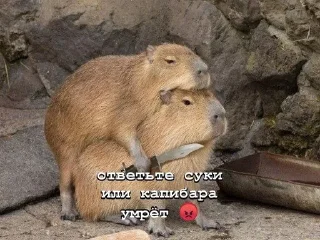 🪓 emoji ПИЗДЕЦ НАХУЙ БЛЯТЬ Telegram sticker 17 of 43
