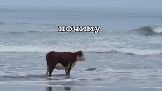 ☹️ emoji ПИЗДЕЦ НАХУЙ БЛЯТЬ Telegram sticker 6 of 47