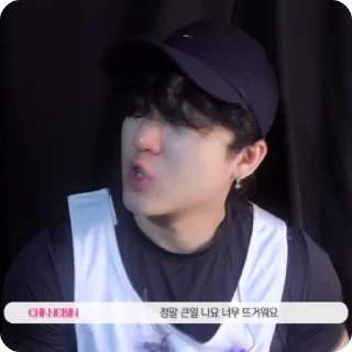 🌟 emoji skztalker Ep64 Bin @seoggdin Telegram sticker 12 of 20