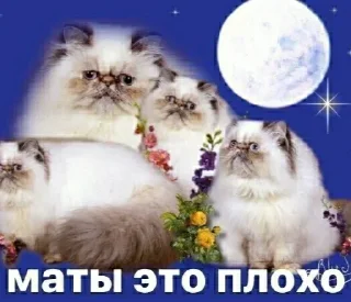 😀 emoji Больше стиков тут: @stikery4 Telegram sticker 21 of 69