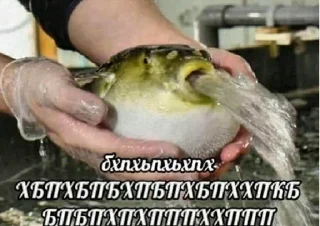 😂 emoji Больше стиков тут: @stikery4 Telegram sticker 4 of 69