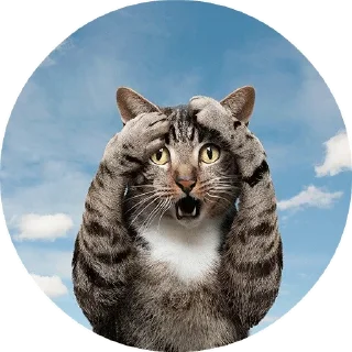 Sticker from Gossip @TVstickers