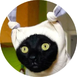 Sticker from Gossip @TVstickers