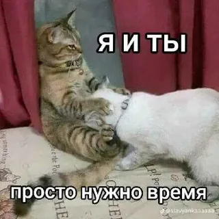 😒 emoji Рома в соло>> @Ctikerubot Telegram sticker 15 of 52