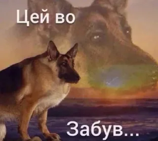 Sticker from українізація йолопів