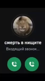 Sticker from Стики Летней Комару