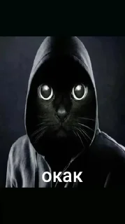 Sticker from Окаки